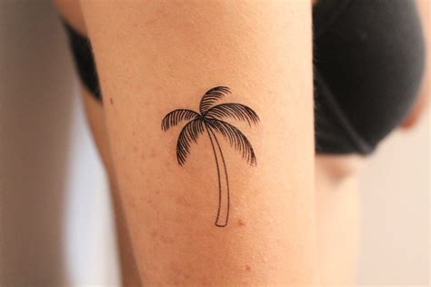 Palmera tattoo